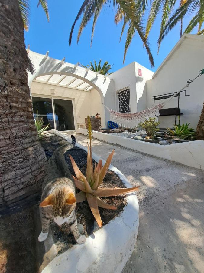 コスタ・カルマPalm Pointアパートメント エクステリア 写真